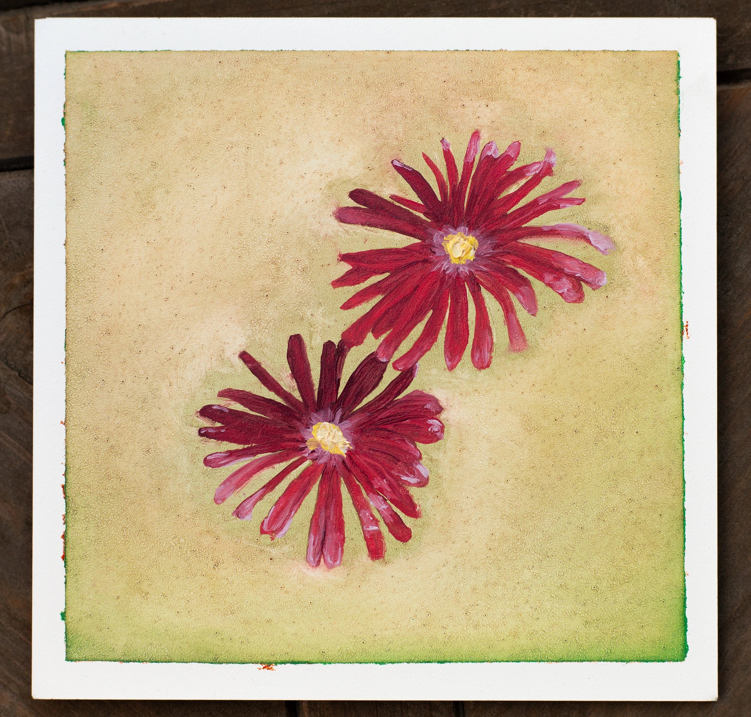 Oil painting of two magenta ice plant flowers with yellow centers on a speckled tan background with a green edge.